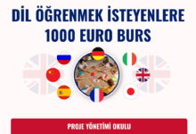 dil-bursu