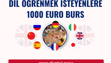 dil-bursu