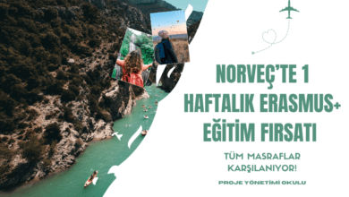norvec