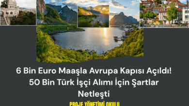 6-bin-euro