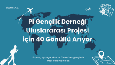 uluslararasi-proje