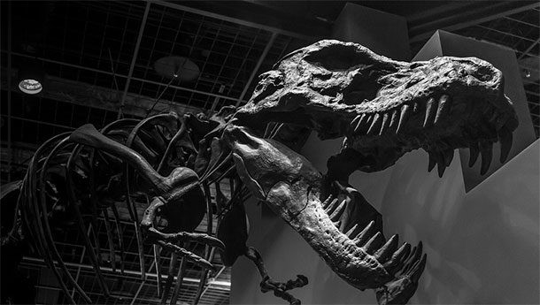 dinozor-bilimsel-gelisme