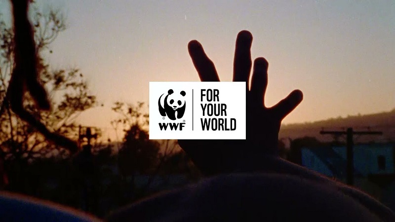 wwf-gonulluluk