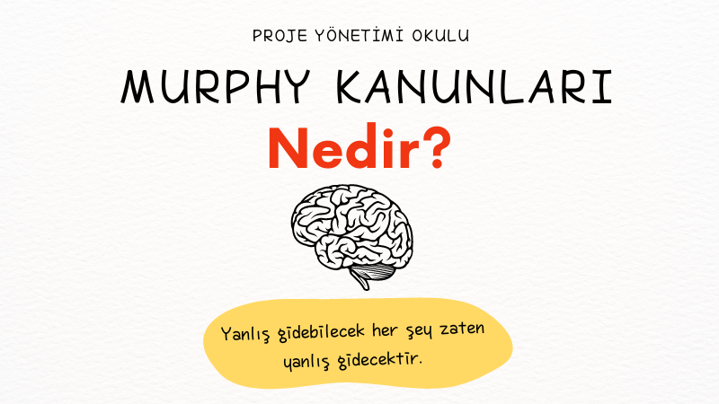 murphy-kanunlari-nedir