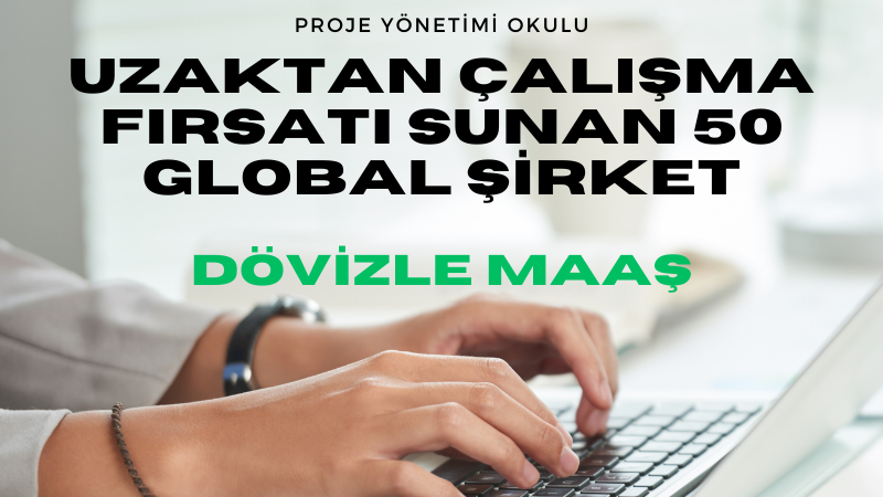 global-sirket