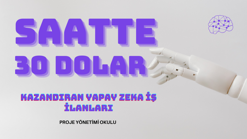 saatte-30-dolar