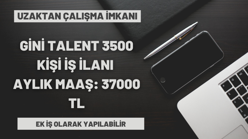 gini-talent