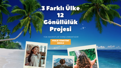 3-farkli-ulke