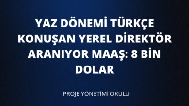 8-bin-dolar