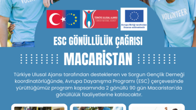 esc-gonulluluk