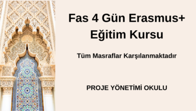 fas-4-gun