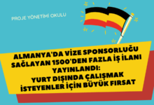 vize-sponsorlugu